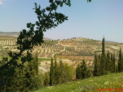 Efr&icirc;n: &Ccedil;ekdar&ecirc;n ser bi opozisyon&ecirc; ve di talan &ucirc; diziy&ecirc;n xwe de berdewam in