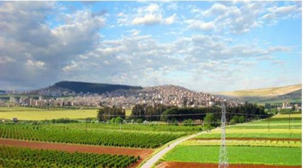 Art&ecirc;şa Tirkiy&ecirc; hejmarek ji girtiyan azad kirin