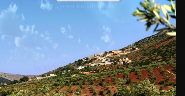 Rigirî li xelkên hin gundên Efrînê bo vegerê tê kirin û mal û zeviyên wan têne talankirin