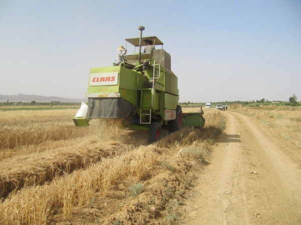 Efr&icirc;n: May&icirc;nek di patozek&ecirc; de teqiya kesek bir&icirc;ndarb&ucirc;
